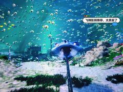 -南湖梦幻岛