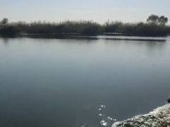 -白洋淀景区