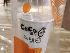 -CoCo都可(卓展店)