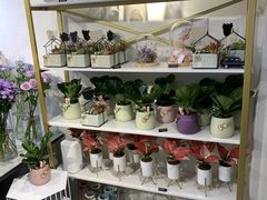 -花未央花店·WEYOUNG