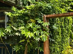 -谷咖啡·鲜花绿植花园餐厅