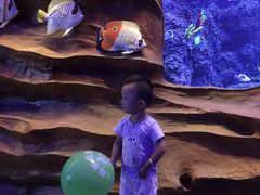 -芜湖新华联大白鲸海洋公园