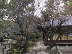 -名古屋城
