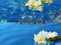 -丽江泸沽湖景区