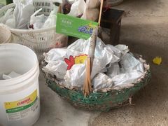 -马陆小张葡萄园农家乐