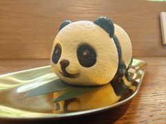 -轩客会(熊猫书店)