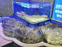 -青蓬蒸汽海鲜·深圳老字号·团建聚会(壹方城店)