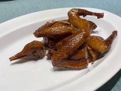 乳鸽皇-宝燕壹号(徐汇店)