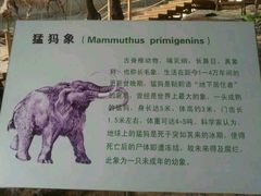 iphone_upload_pic-中国第四纪冰川遗迹陈列馆