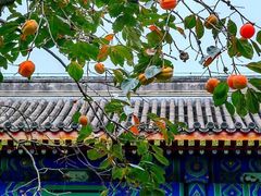 -北京石刻艺术博物馆(五塔寺)