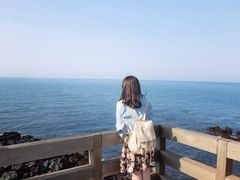 -龙头岩(Dragon Head Rock)