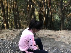 -火炉山森林公园