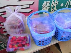 -大自然农场蔬菜草莓采摘园