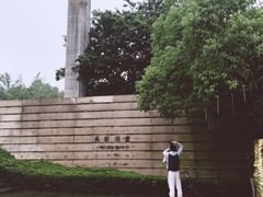 -美丽洲堂