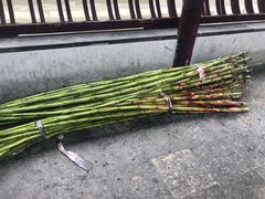-召稼楼古镇