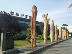 -石家庄市植物园