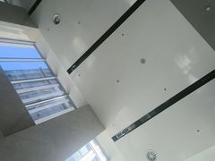 -大望京公园