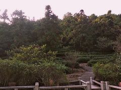 -九龙潭景区