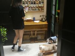 -猫色咖啡·猫咖
