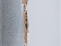 -大港湿地公园