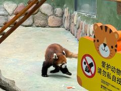 -栾川竹海野生动物园