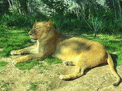 -北京野生动物园