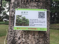 -炮台山公园