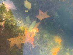 -中关村生命科学园