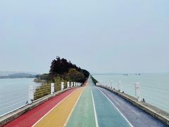 -贡湖湾湿地公园