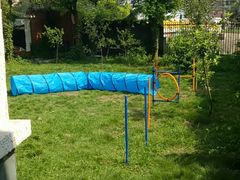 -翊宠yipet猫狗购宠庄园犬舍•猫舍