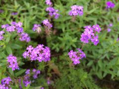 -湖南工业大学(主校区（河西校区）)