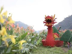-广州市石门国家森林公园