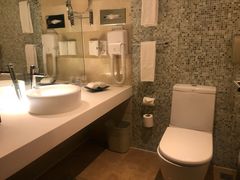 -国家会议中心大酒店