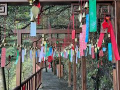 -秦岭天竺山生态文化旅游景区