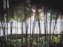 -宁波柏悦酒店·钱湖渔港