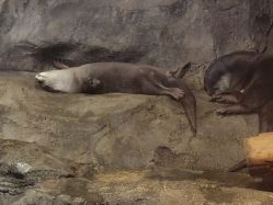 -Zoolung Zoolung动物主题公园(海信广场店)