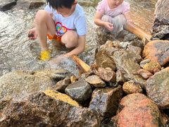 -田心森林公园