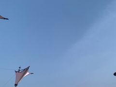 -阜阳站