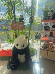 -IMON·HANSA潮玩玩偶毛绒玩具(通州万象汇店)