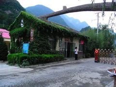 -黑河国家森林公园