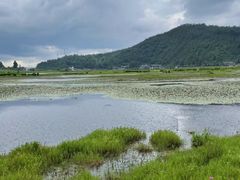 -腾冲北海湿地