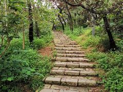 -浮山香苑