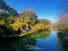 -西溪国家湿地公园