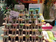 -凯德广场(学府店)