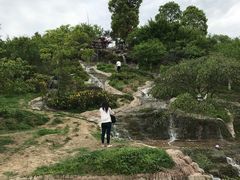 -秀丽东方