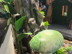-菌彩云南野生菌火锅(呈贡七彩云南第壹城店)