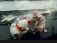 -直隶安家牛肉罩饼(建华店)