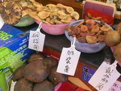 -草墩罗非鱼庄•野生菌•腊排骨(七星街上段店)