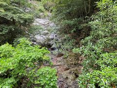 -东天目山风景区