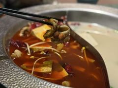 -麻田会 ·鲜活现烹·牛蛙火锅(珠江新城维家思广场店)